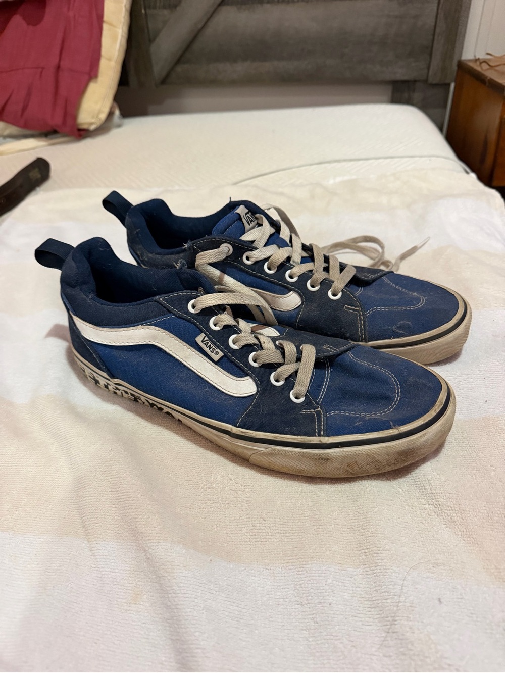 Vans Blue and White Low-Top Skate Sneakers